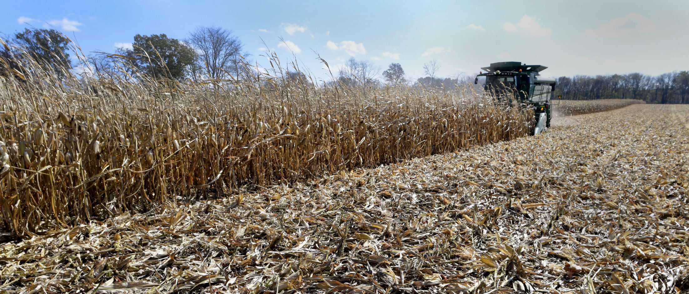 102520-blm-loc-8harvest